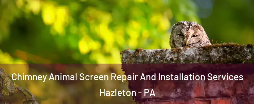  Chimney Animal Screen Repair And Installation Services Hazleton - PA