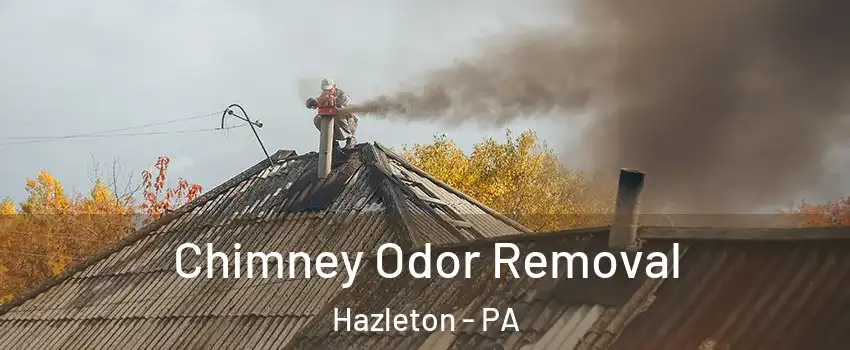  Chimney Odor Removal Hazleton - PA