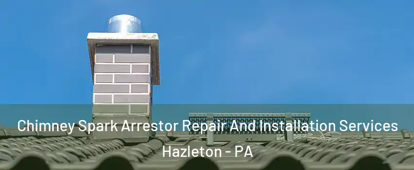  Chimney Spark Arrestor Repair And Installation Services Hazleton - PA