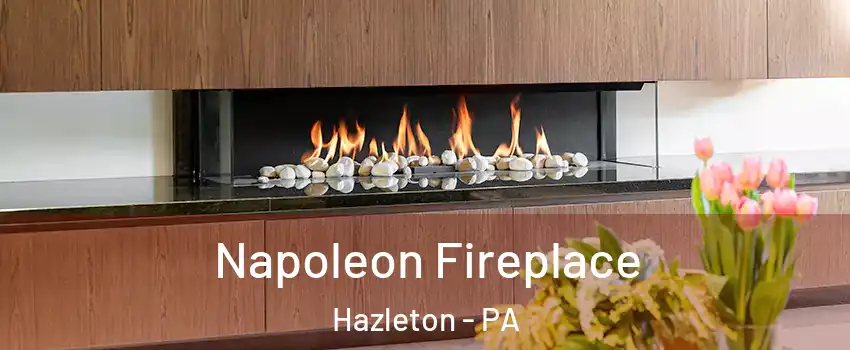  Napoleon Fireplace Hazleton - PA