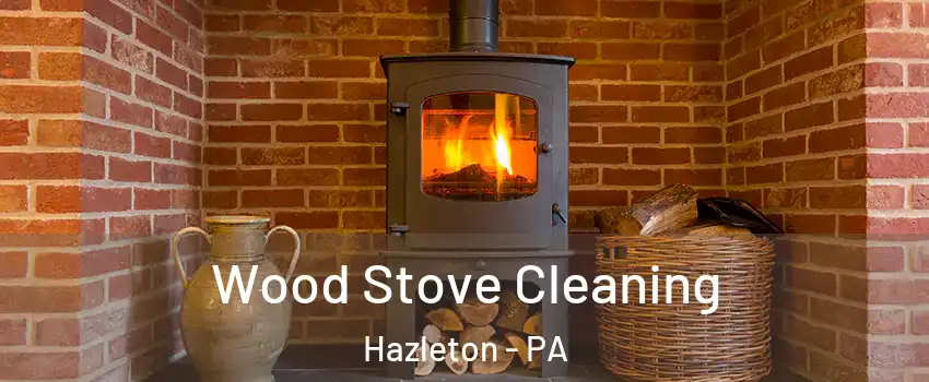  Wood Stove Cleaning Hazleton - PA
